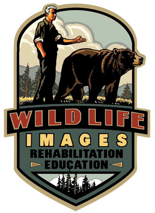 WildlifeImages_logo_NoBkg